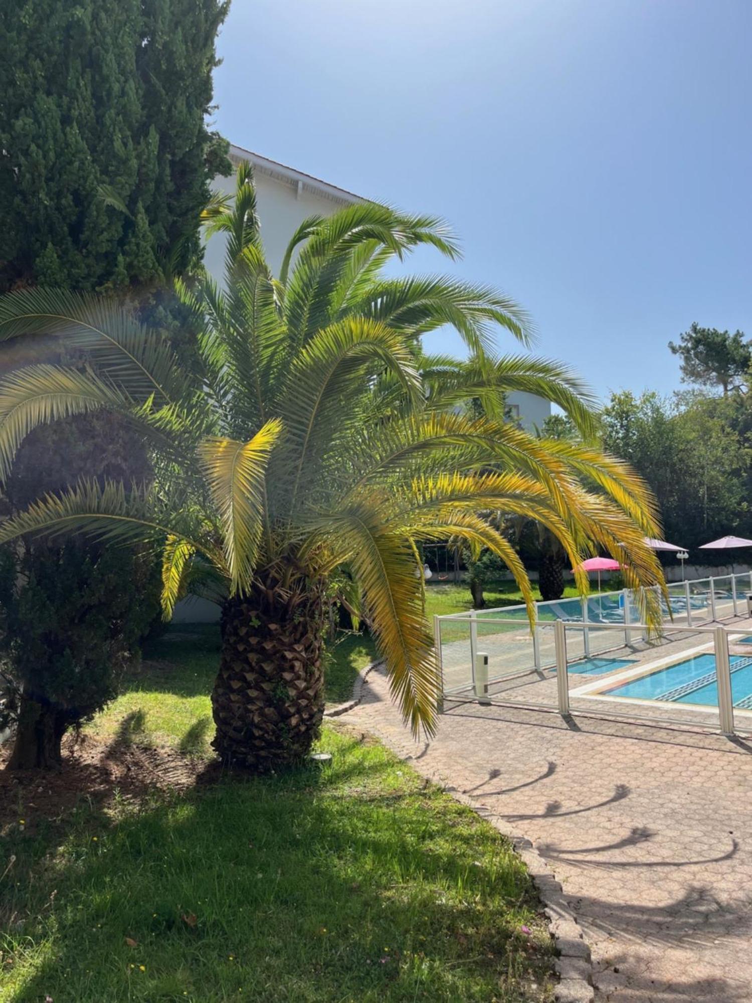 Studio Pool View
