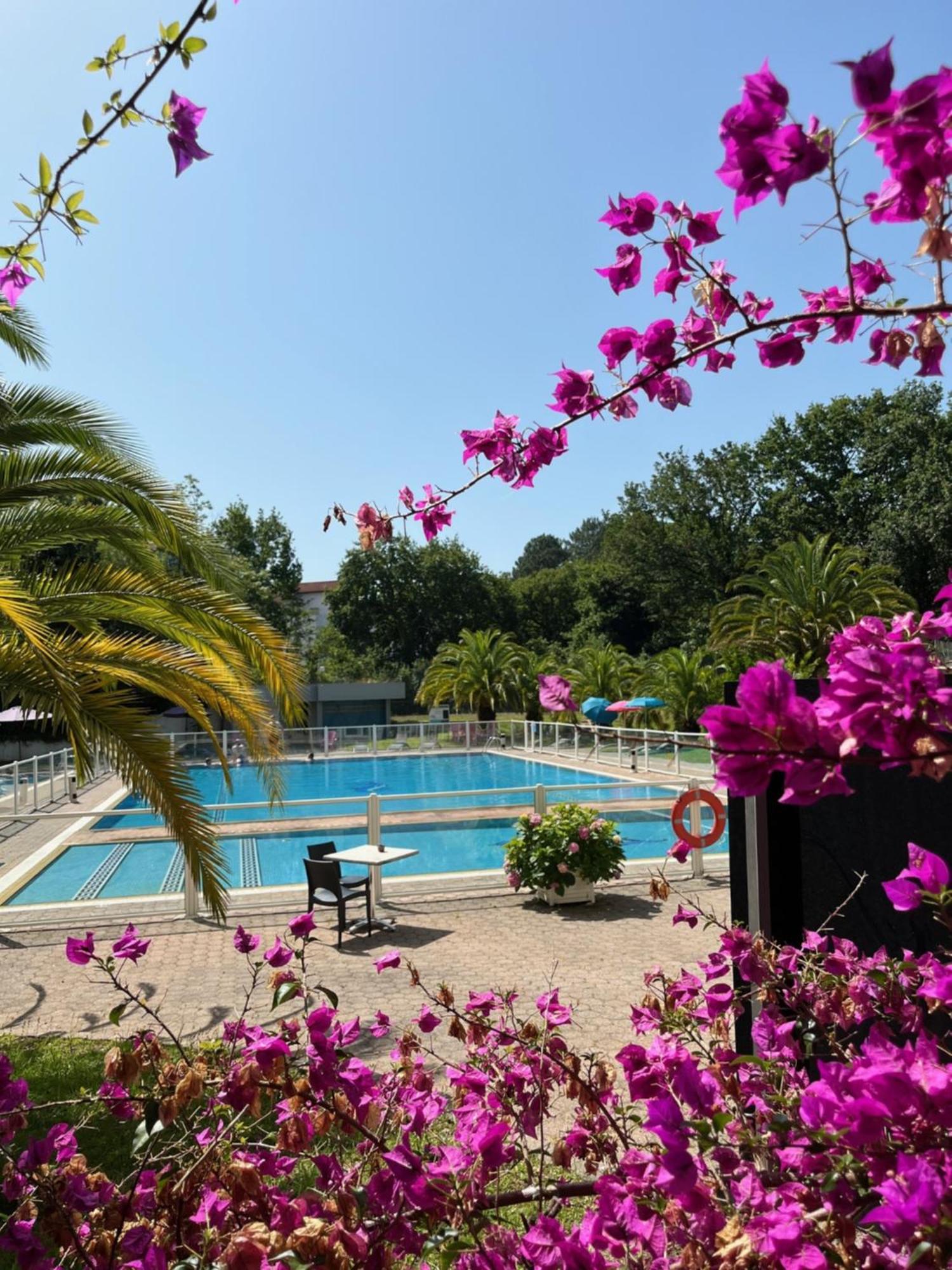 Studio Pool View