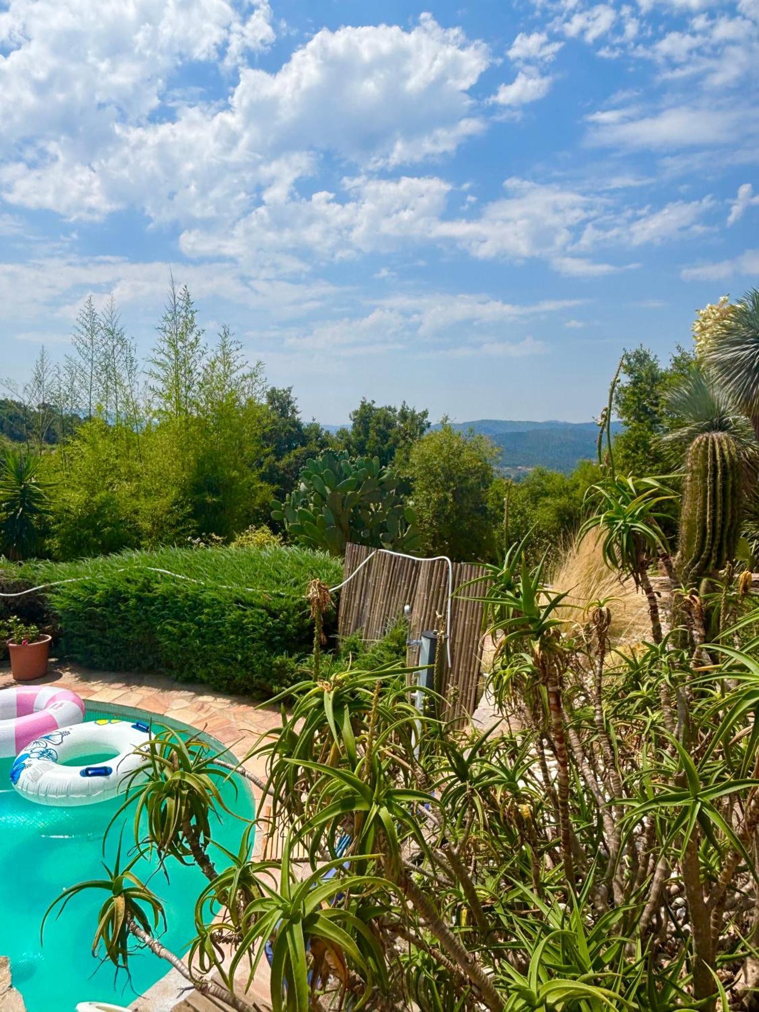 Family Room Pool View