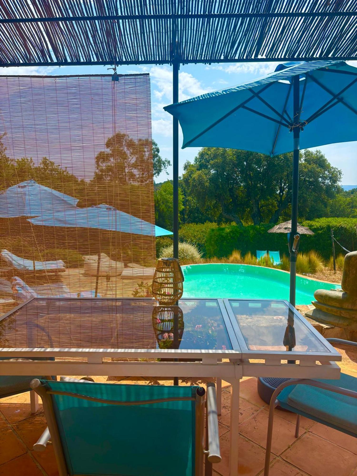 Family Room Pool View