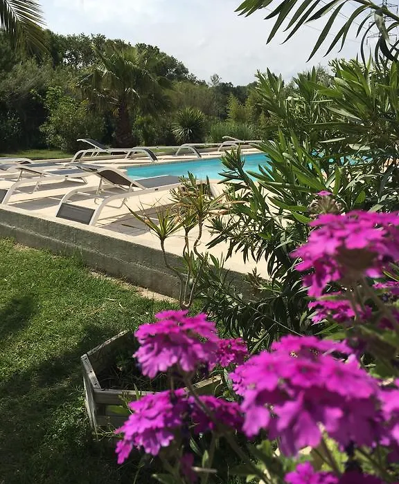 Appart'Hotel Et Chambres Essentiel Spa-1