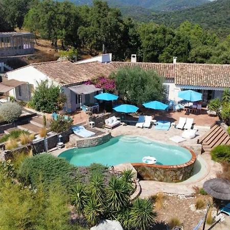 Villa Des Delices-3
