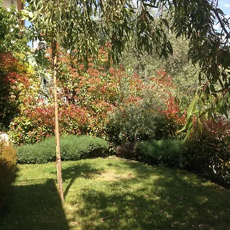 Location Vacances Nice - Villa 5* Nice St Pancrace-3