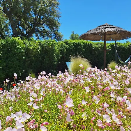 Villa Des Delices-2