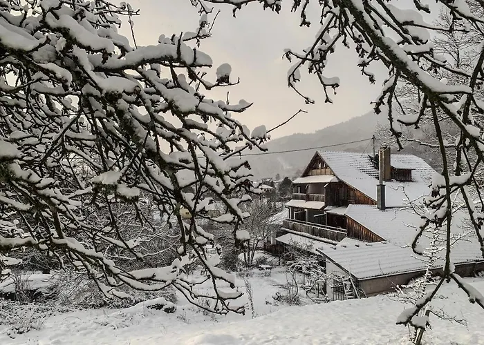 Le Manoir des Sens - Forêt de Bergheim