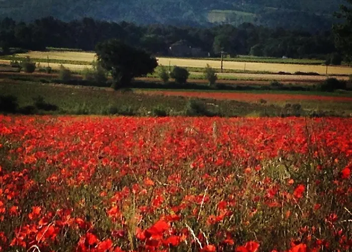 Le Mas De La Glycine Roussillon en Isere