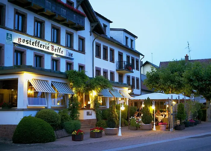 Hostellerie Belle-Vue Wangenbourg-Engenthal