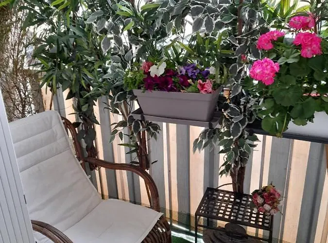 Chambre Privee A 100 M Des Plages Toulon