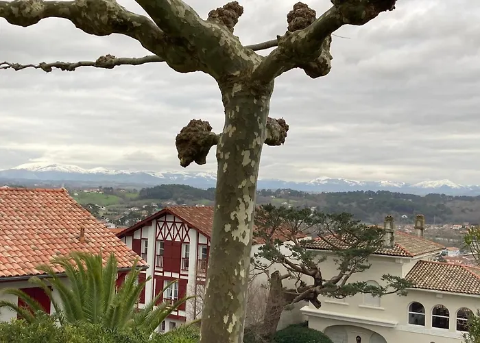 Studio Biarritz Aguilera 2 A 4 Pers