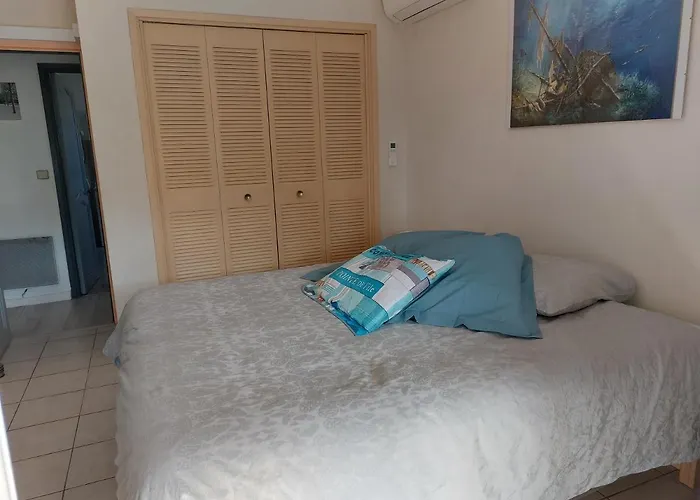 Home Tranquille Dans la Cité du Mimosa - 2 étoiles - Axelle Loc'Appart Mandelieu