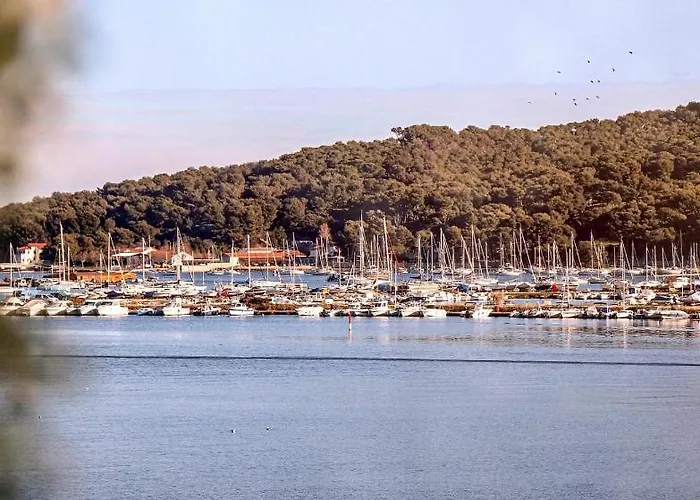Rives d'Or Hôtel La Seyne-sur-Mer