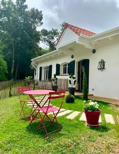Bons Baisers du Touquet - Villa Caracole Le Touquet-Paris-Plage