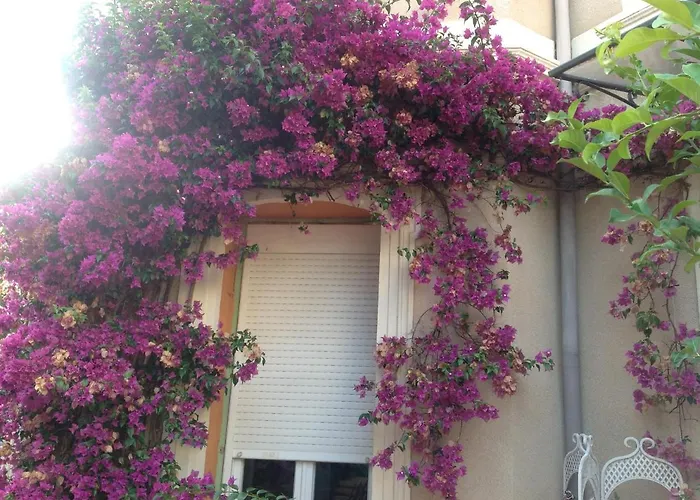 Hotel A L'Ombre Du Cedre à Hyères