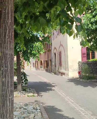 Hotel Cour Sud à Rouffach