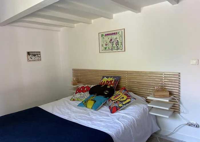 Merig'Home Chambre Bd Climatisee Dans Maison Avec Piscine Au Calme En Ville, Sdb & Toilettes Prives Angoulême