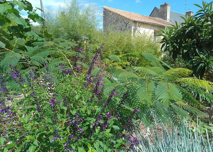 The Piggeries At La Maison Tumtum Arbre Loudun