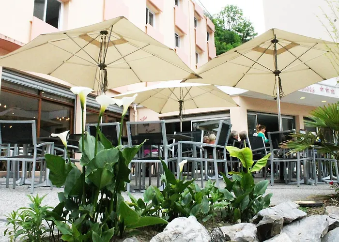 Hotel Des Rosiers Lourdes