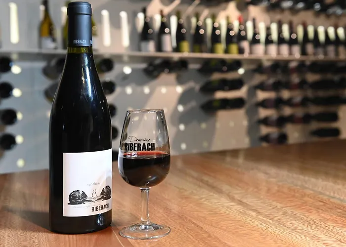 Domaine Riberach - Hotel 4 - Restaurant Gastronomique - Spa - Piscine - Vignoble Bélesta