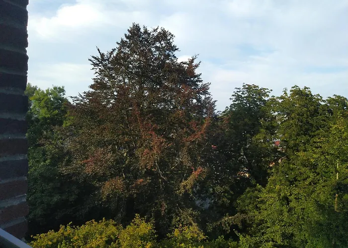Le Domaine Des Roches, Auberge Collective Villa Dieppe