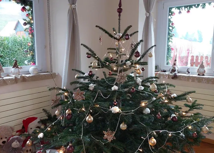 Hotels in Orbey