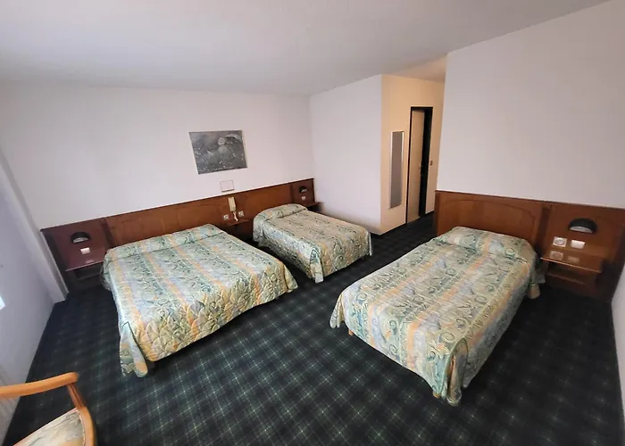 Hôtel Christ Roi Lourdes