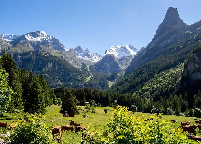 Chalet Hôtel Les Airelles Pralognan-la-Vanoise