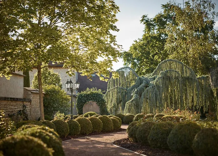 Como Le Montrachet Puligny-Montrachet