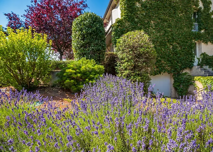 Hôtel Parc Adelie Montagny-lès-Beaune