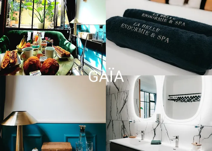 La Belle Endormie B&B French Guest House Burdeos
