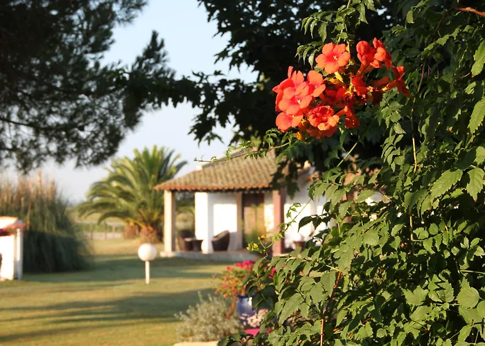 Hotel Mas Des Barres Saintes-Maries-de-la-Mer