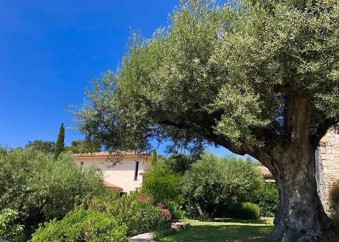 Nature Et Design Bonifacio 
