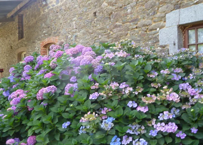 Bed and Breakfast Les Champs De Roz à Roz-Landrieux