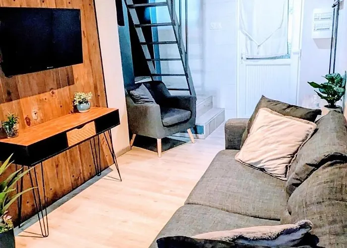 Carcassonne Pet friendly Villas