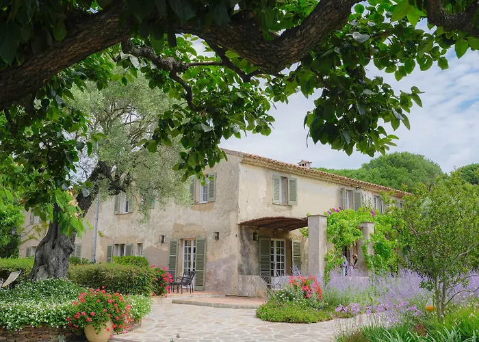 Hôtel La Figuière Saint-Tropez que aceita animais de estimação