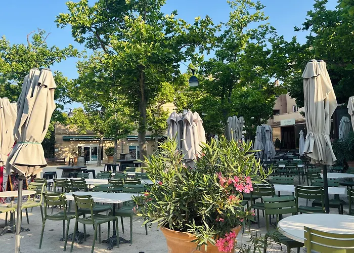 Village Pierre&Vacances Pont Royal en Provence Mallemort