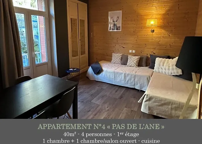 La Maison des Familles 10 appartements Le Mont-Dore