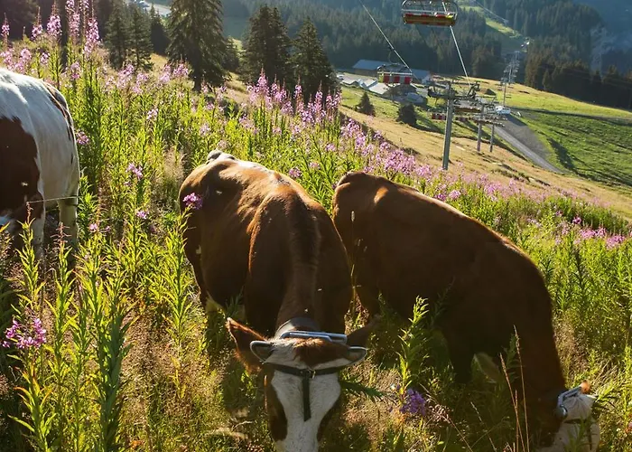 Résidence Pierre&Vacances Antarès Morzine