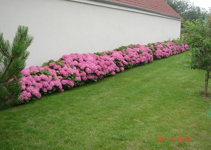 Chambres d'Hôtes La Villa des Hortensias Berck