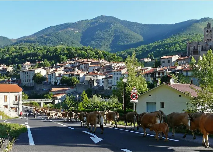 Hotel El Casal Prats-de-Mollo-la-Preste