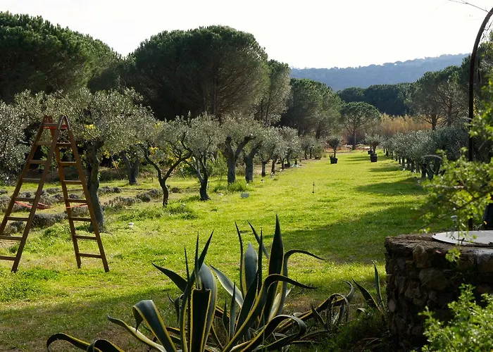 Bed and Breakfast Campagne Les Jumeaux Ramatuelle