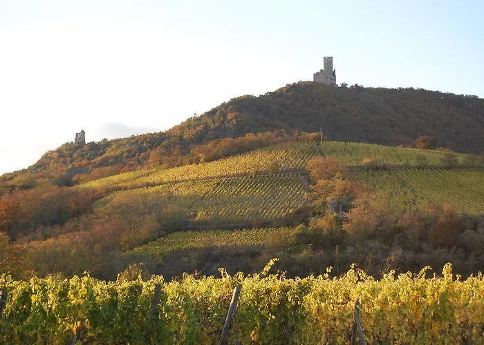 Hôtels à Scherwiller