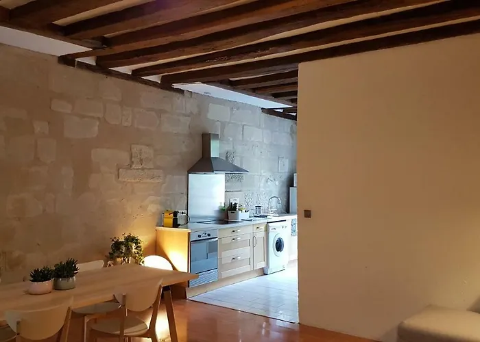 Appartement Quartier Historique Proche Des Halles Tours